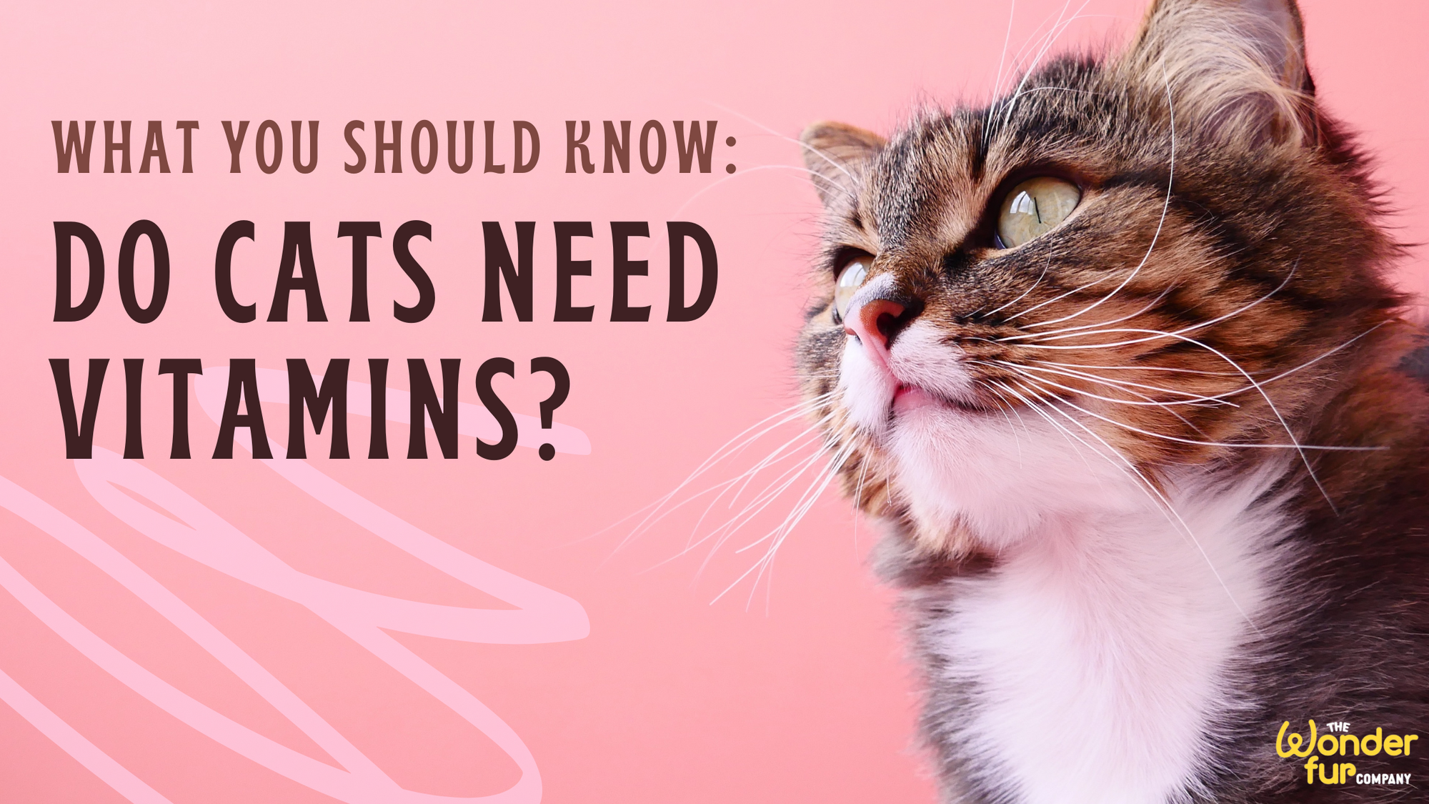 Do Cats Need Vitamins?