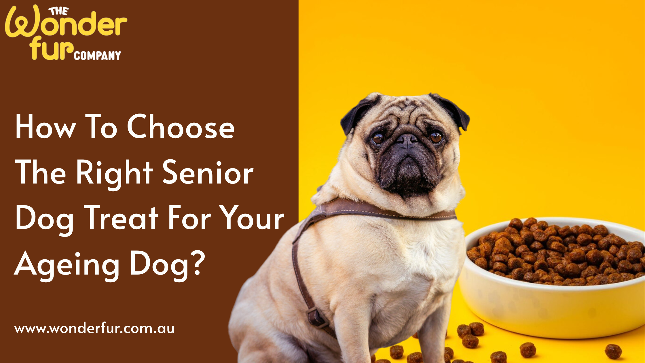 Best Dog Treats For Older Dogs How to Choose the Best Senior Dog Treats for Older Dogs? – wonderfurcompany