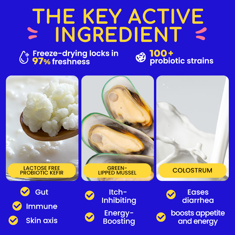 Freeze-dried dog treats/Dog immune booster