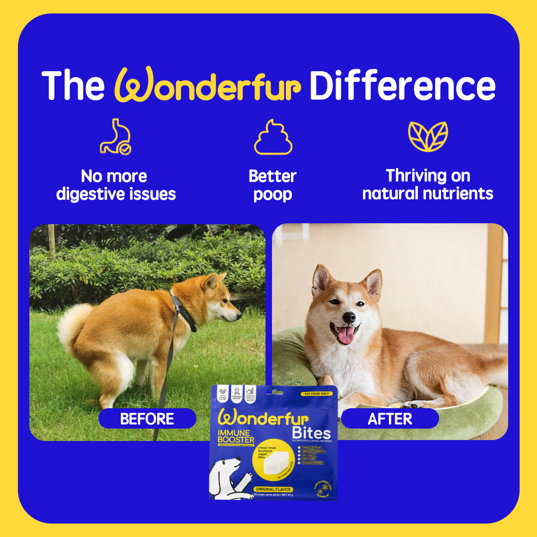 wonderfur immune booster for dogs, Dog gut health support