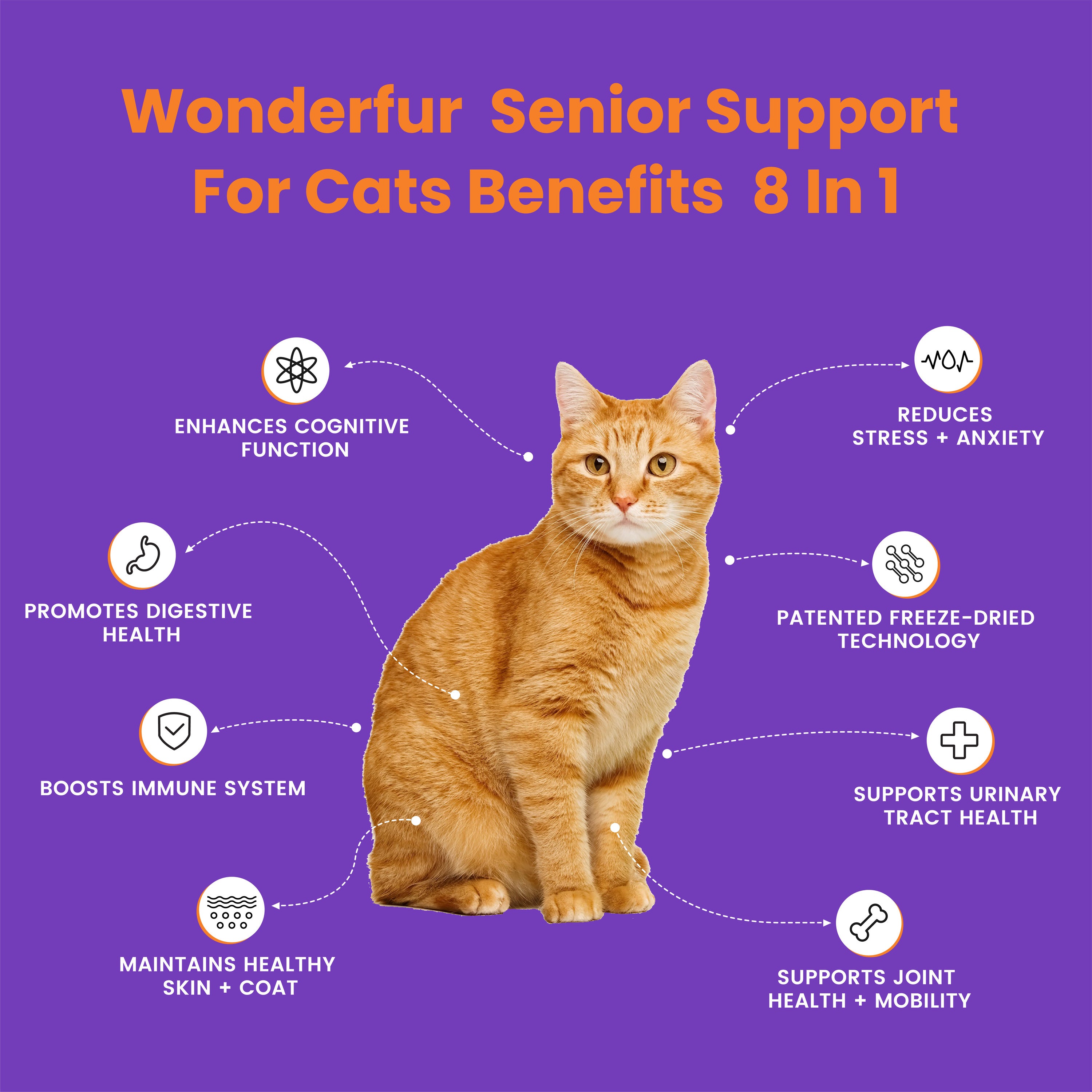 SENIOR SUPPORT for Cats - wonderfurcompany, freeze-dried, probiotics, cat probiotics, healthy supplements for cat