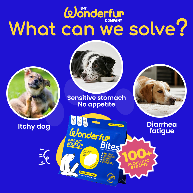 Natural dog supplements
Dog itchy skin remedy
Boost dog appetite naturally