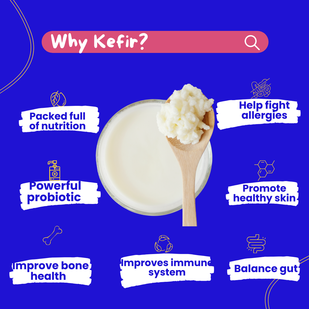 Kefir for Dogs - Wonderfur Bites