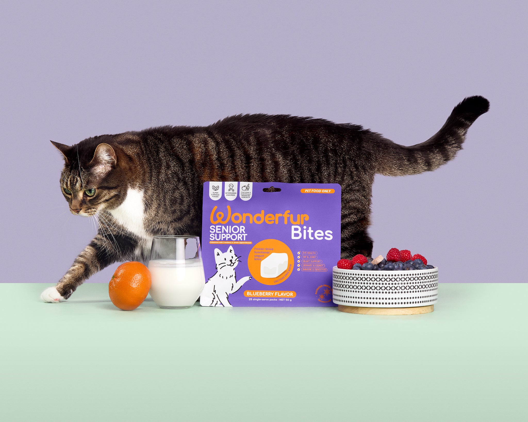 Senior Support for Cats - wonderfurcompany, Immune Booster for Cats - wonderfurcompany, freeze-dried, probiotics, dog probiotics, cat probiotics, cat supplement, cat treat