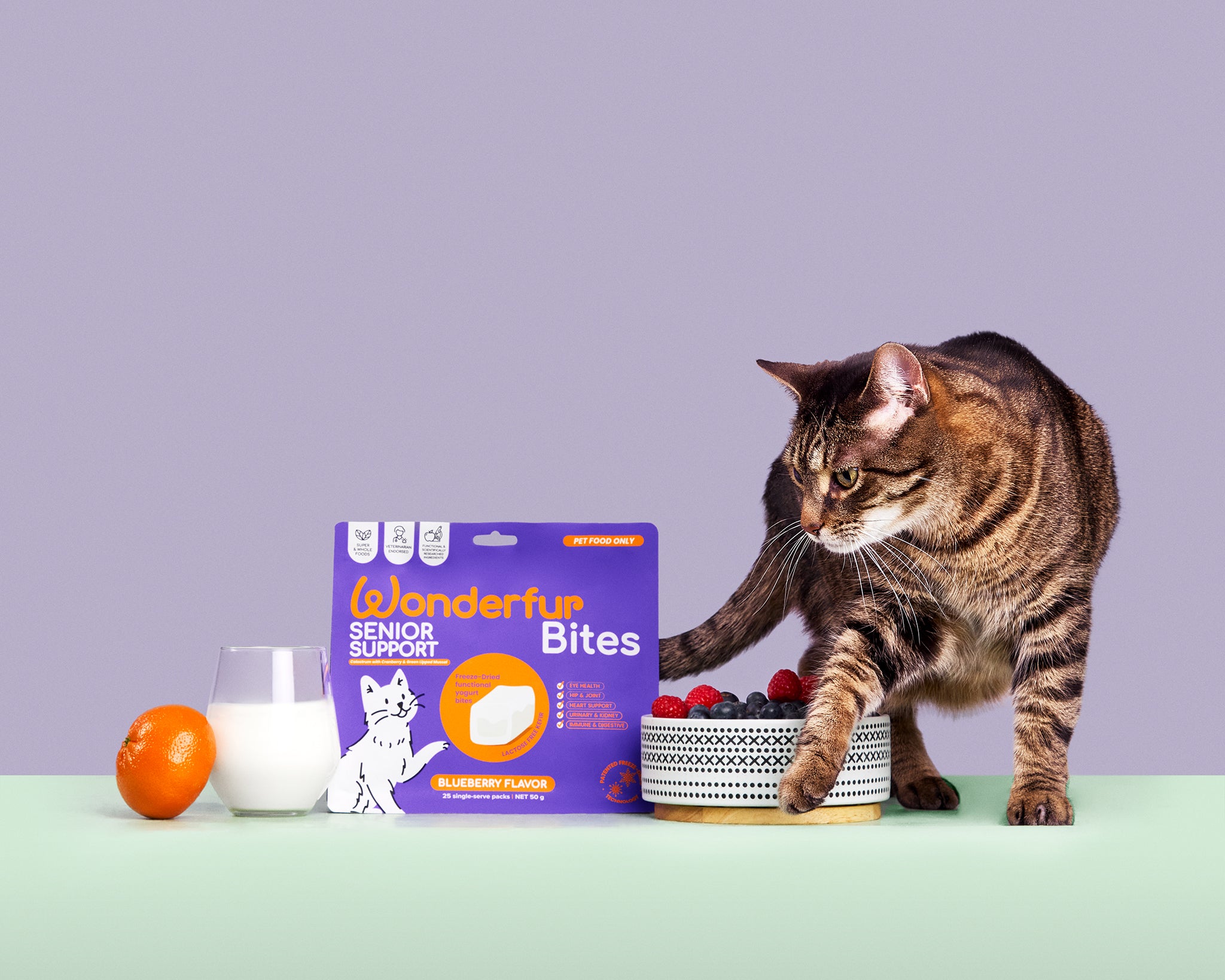 healthy supplements for cats - Immune Booster for Cats - freeze-dried, probiotics, dog probiotics, cat probiotics, cat supplement, cat treat