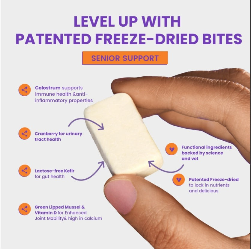 Immune Booster for Cats - wonderfurcompany, freeze-dried, probiotics, cat probiotics, healthy supplements for cat