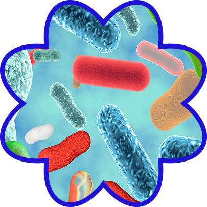 9-strain probiotic blend (180M CFU/g)