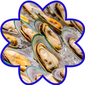 Green Lipped Mussel &Vitamin D