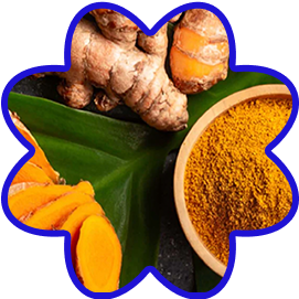 Turmeric