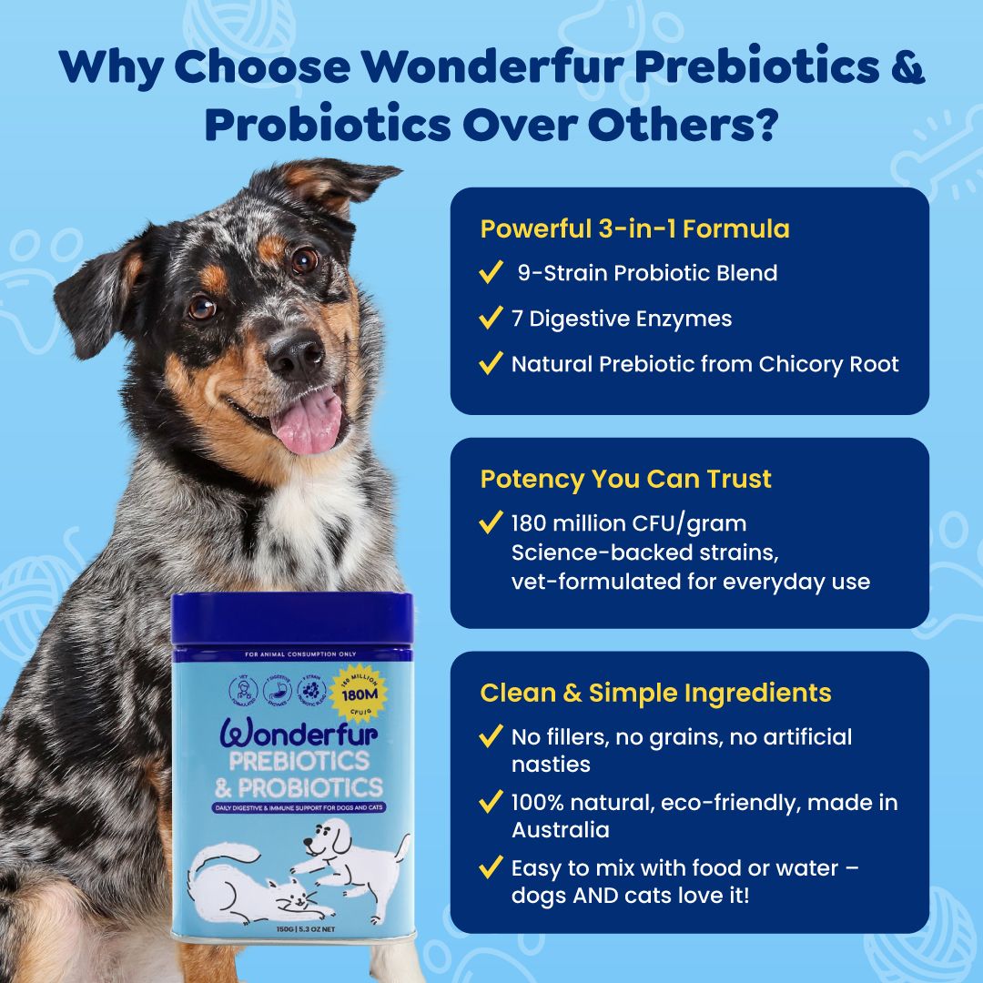 Wonderfur Prebiotics & Probiotics for dogs and cats with benefits for gut health, sensitive stomachs, and immune support."