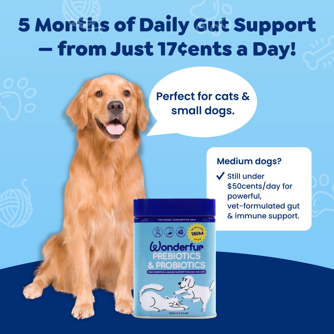 Healthy gut and immune support for dogs and cats with Wonderfur Prebiotics & Probiotics supplement