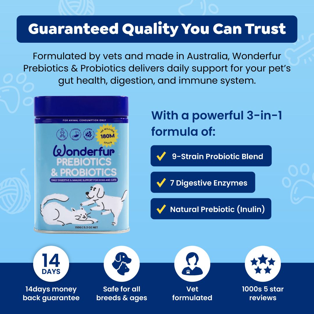 Wonderfur probiotics for pets, supporting digestion during diet changes, stress, or travel.