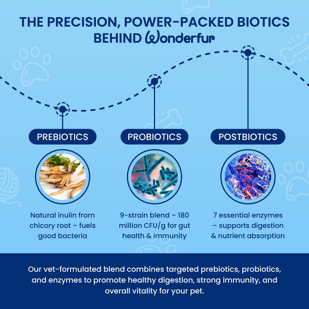 Diagram of prebiotics, probiotics, and postbiotics with descriptions on a blue background.