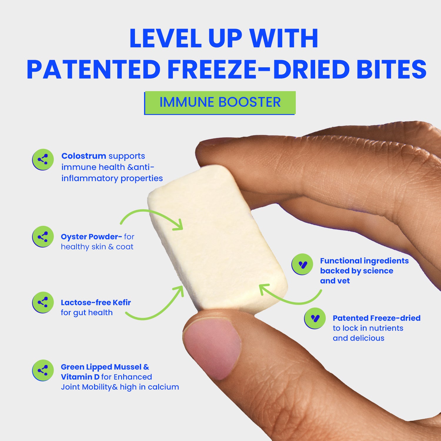 cat immune support supplement - freeze-dried, probiotics, cat probiotics, healthy supplements for cat