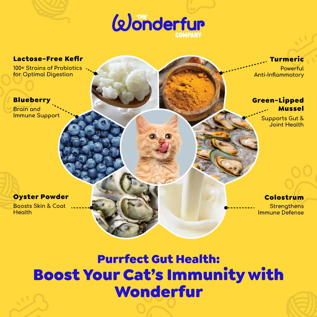 Immune Booster for Cats - wonderfurcompany, freeze-dried, probiotics, cat probiotics, healthy supplements for cat