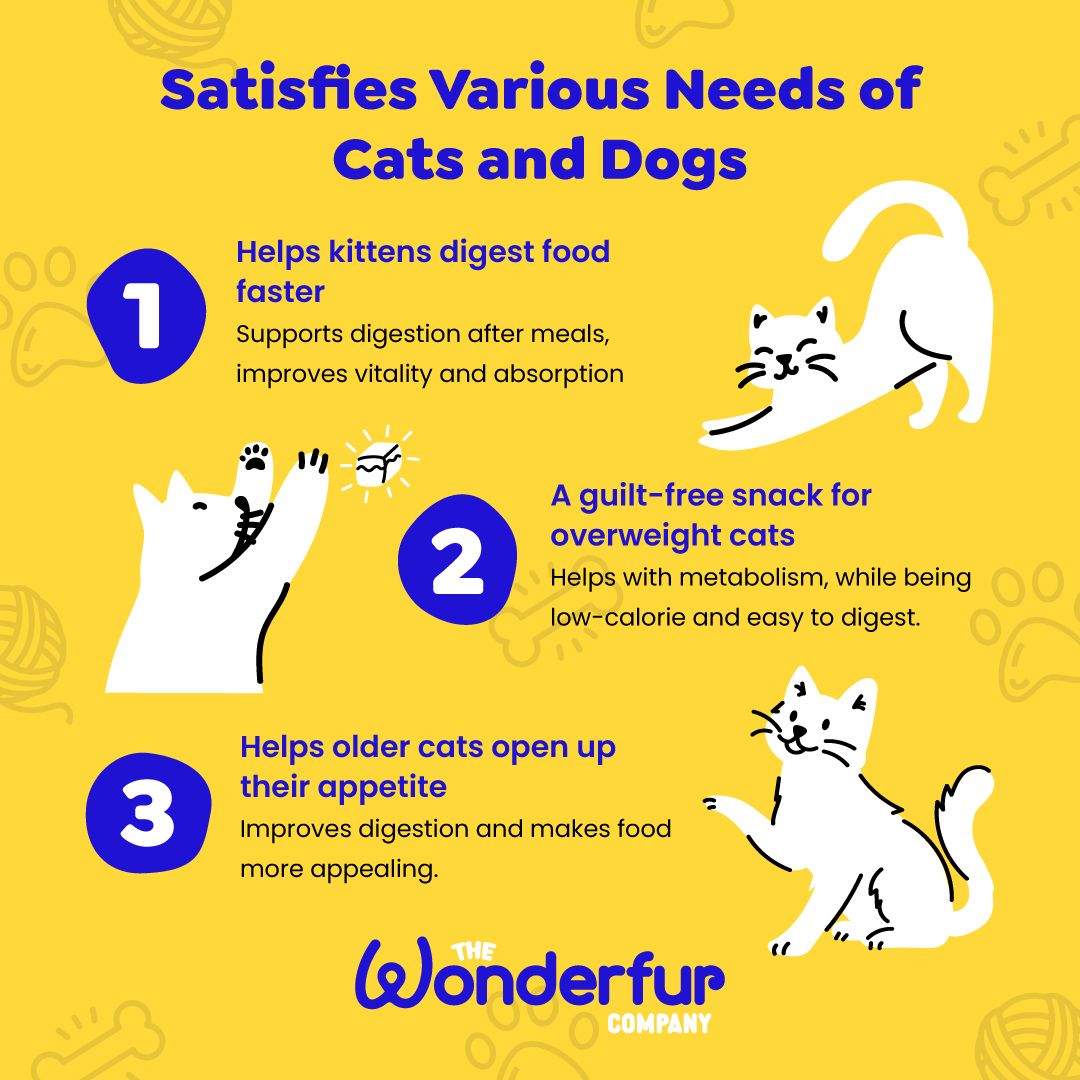 digest faster gut health