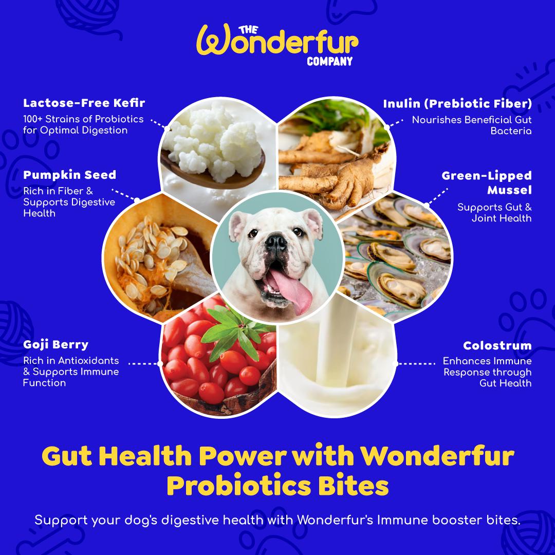 Wonderfur immune booster for dogs and food supplements , probiotics bites for dogs