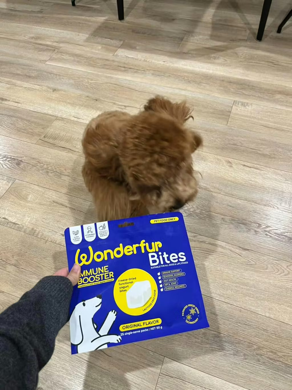 How to Brush Your Dog‘s Teeth (Without Losing a Finger)