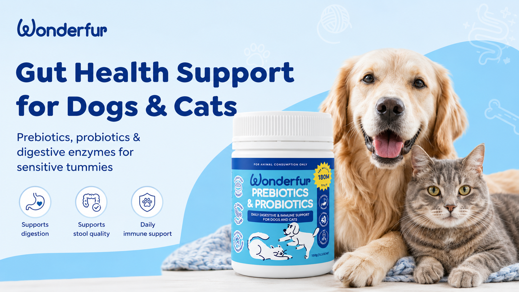 Dog or Cat With a Sensitive Tummy? Why Gut Health Could Be the Daily Support They Need