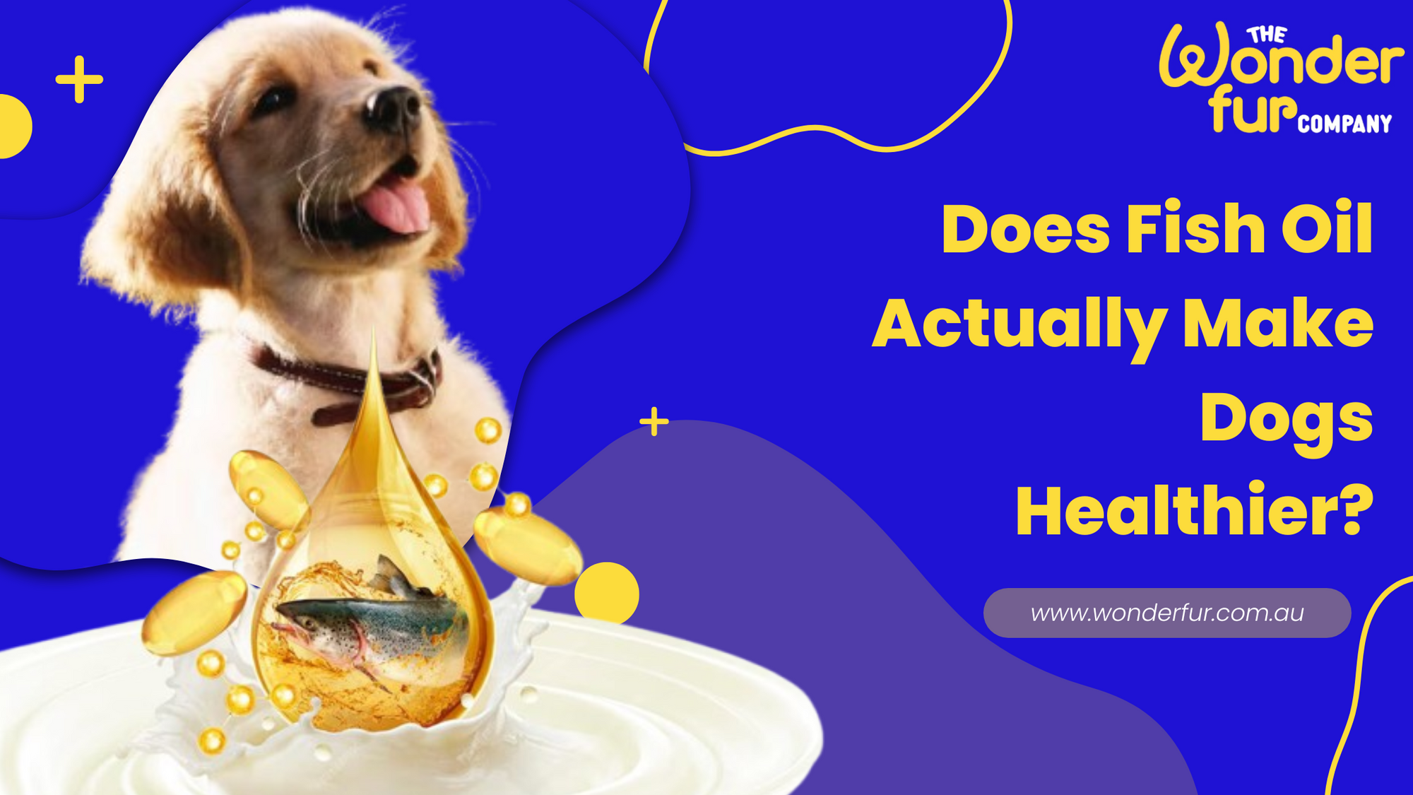 Does Fish Oil Actually Make Dogs Healthier?