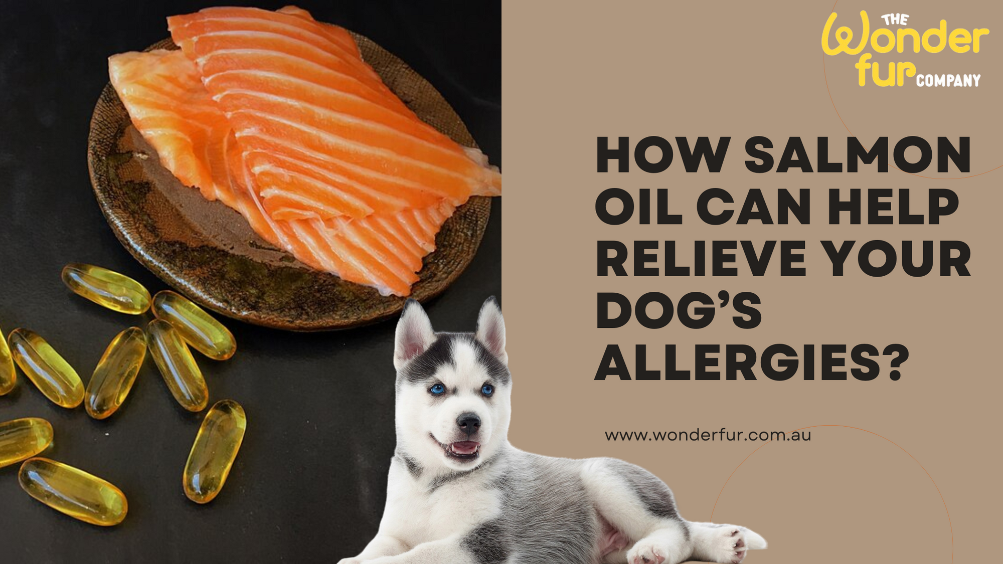 How Salmon Oil Can Help Relieve Your Dog’s Allergies?