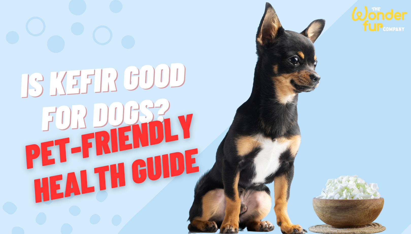 Is Kefir Good for Dogs? A Pet-Friendly Health Guide