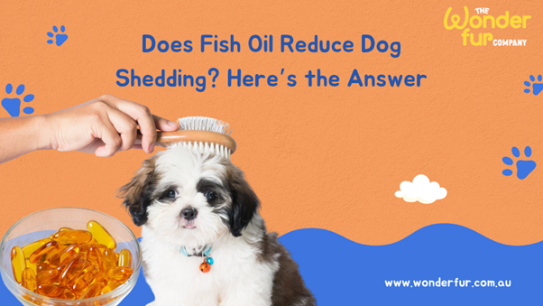 Does Fish Oil Reduce Dog Shedding? Here’s the Answer