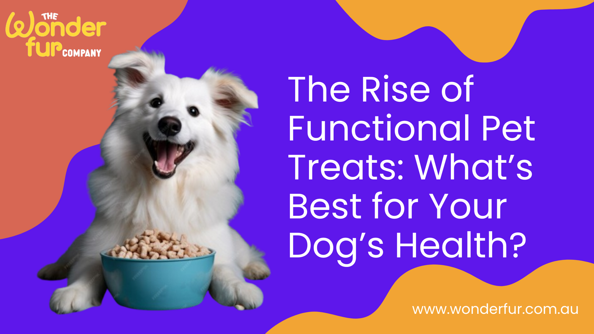 The Rise of Functional Pet Treats: What’s Best for Your Dog’s Health?