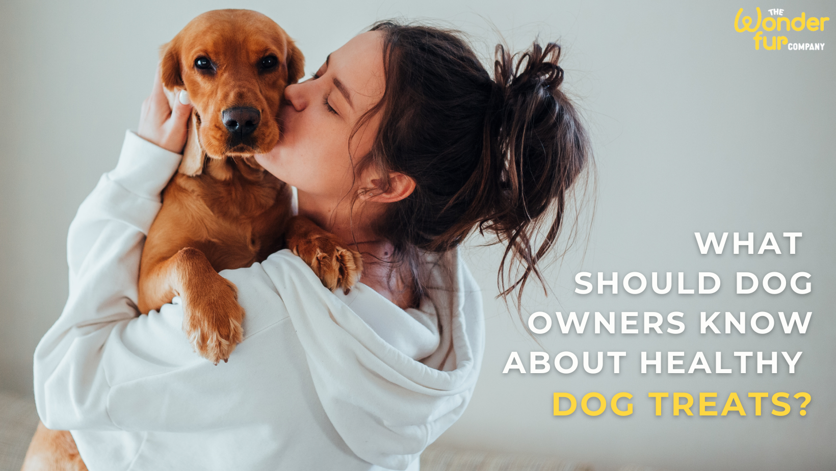 Truth About Healthy Dog Treats Every Pet Owner Should Know