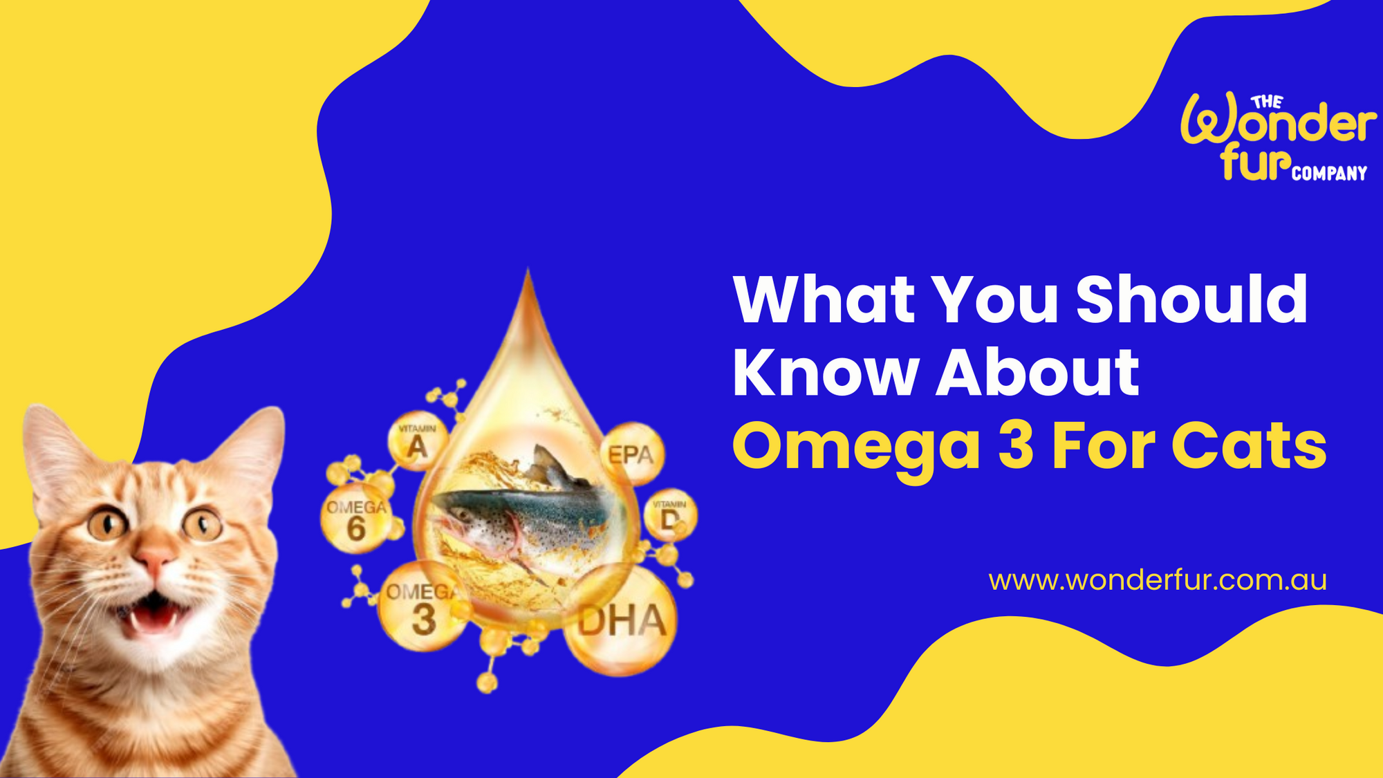 Omega 3 for Cats: Benefits, Myths & Best Supplements