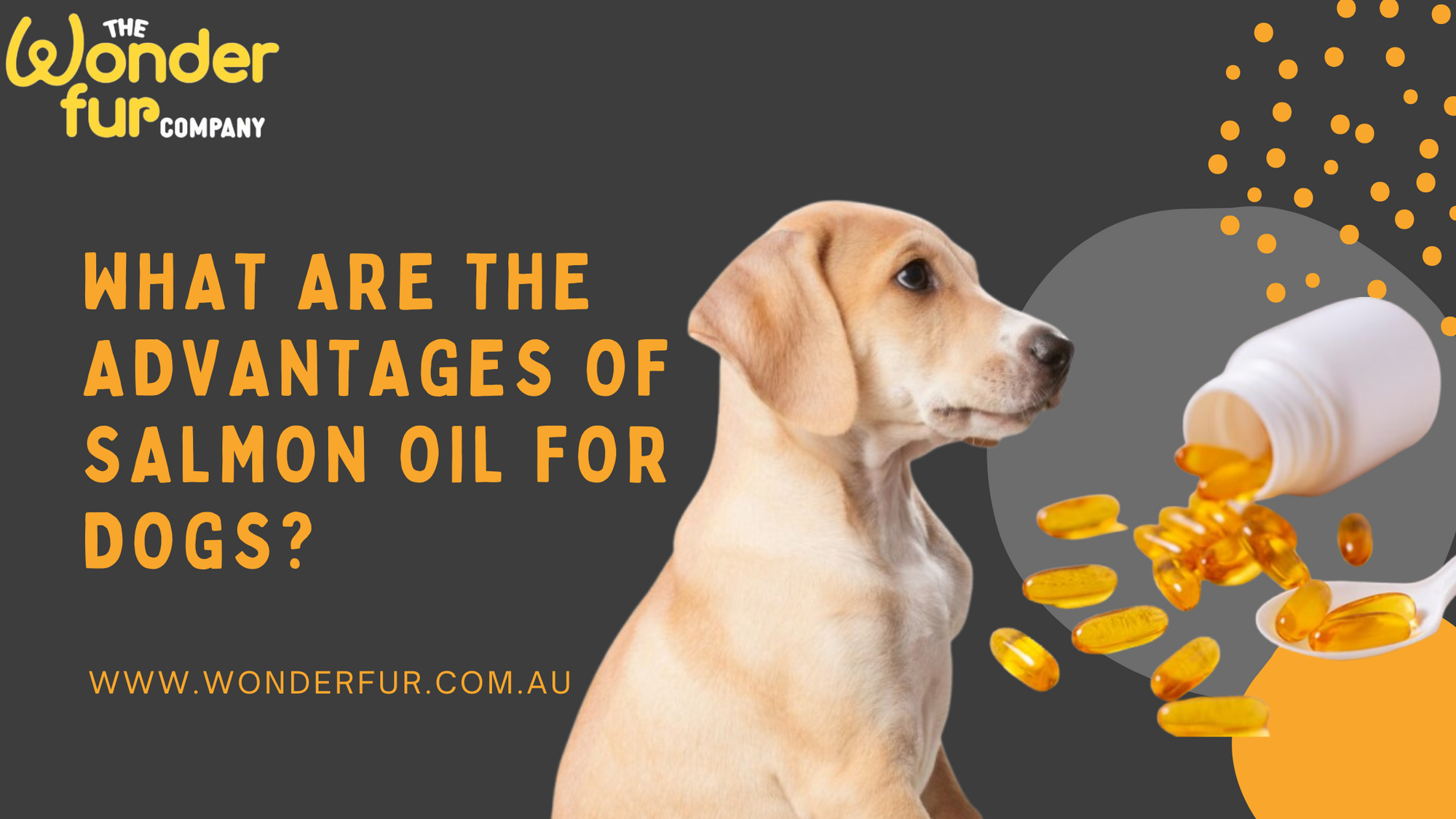 Salmon Oil for Dogs – Benefits for Skin, Coat & Joints