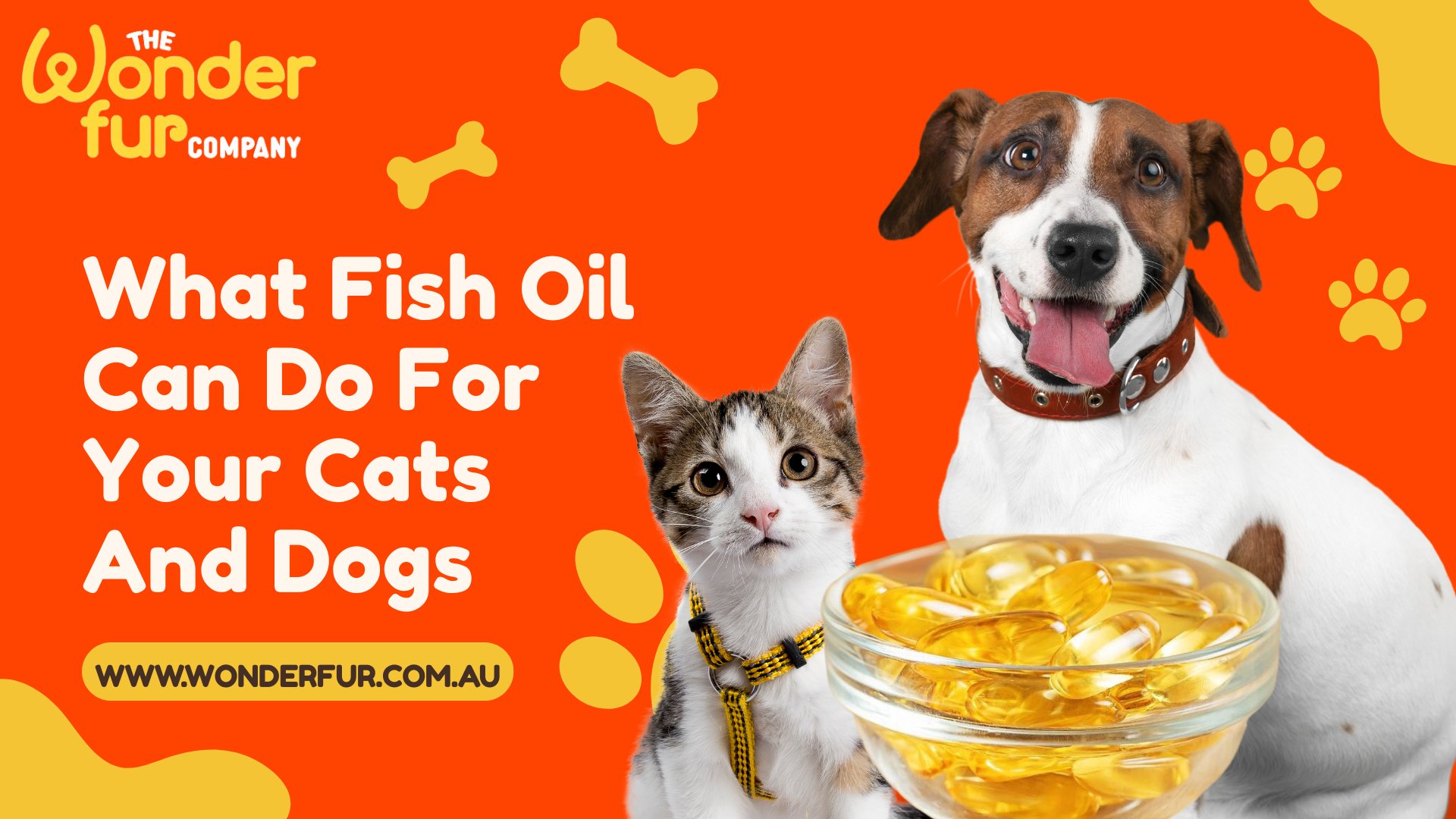 What Fish Oil Can Do For Your Cats And Dogs?