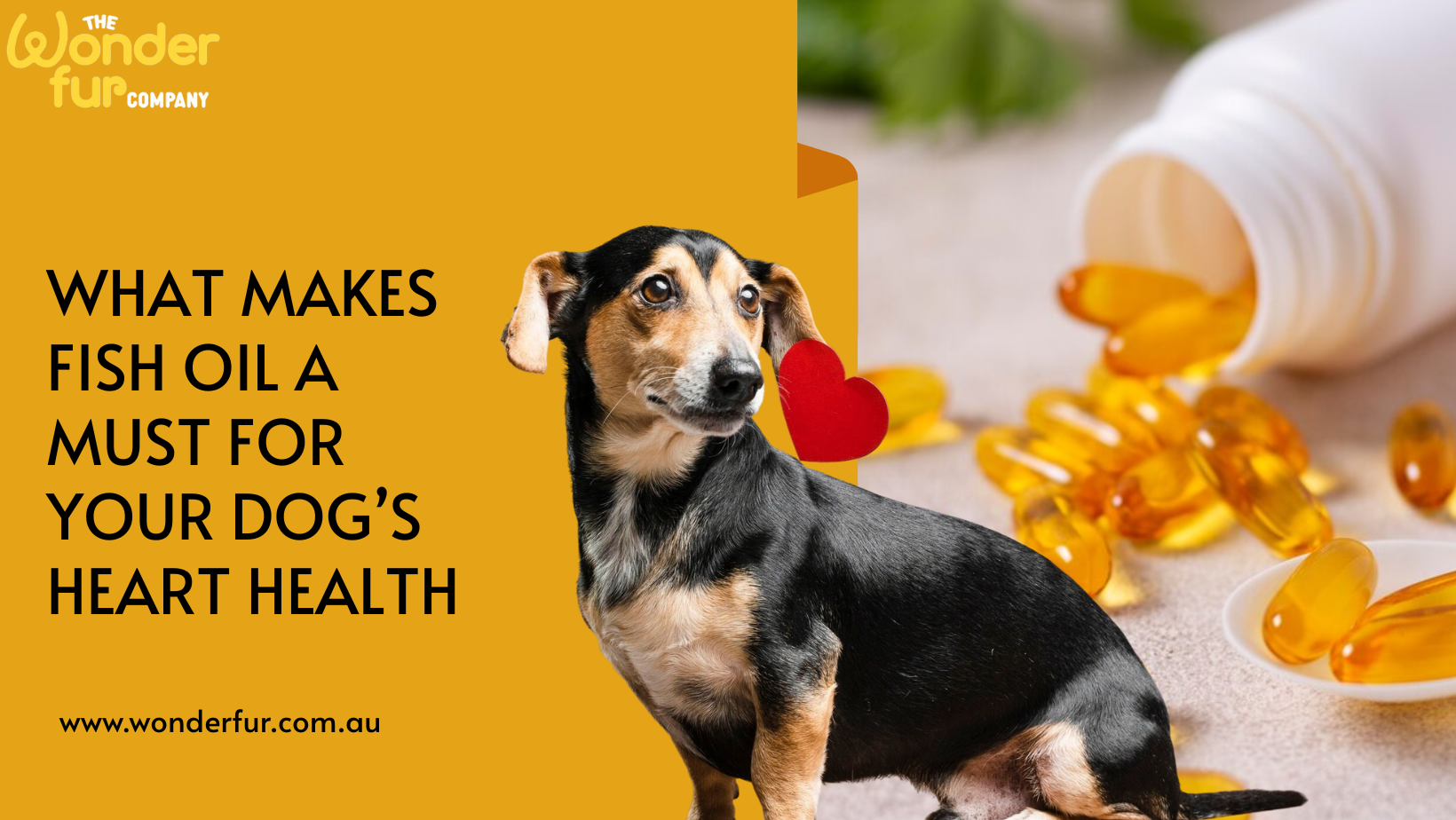 What Makes Fish Oil A Must For Your Dog’s Heart Health