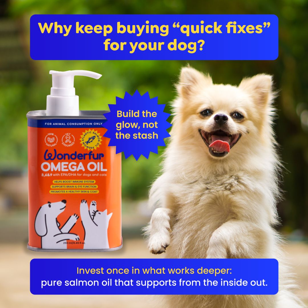 Could Omega Oil Ease Your Pet’s Stiff Joints?