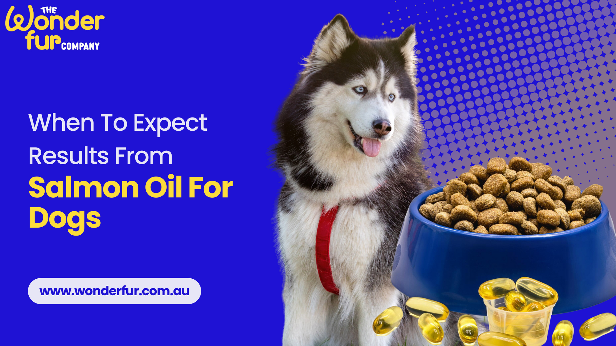 When To Expect Results From Salmon Oil For Dogs
