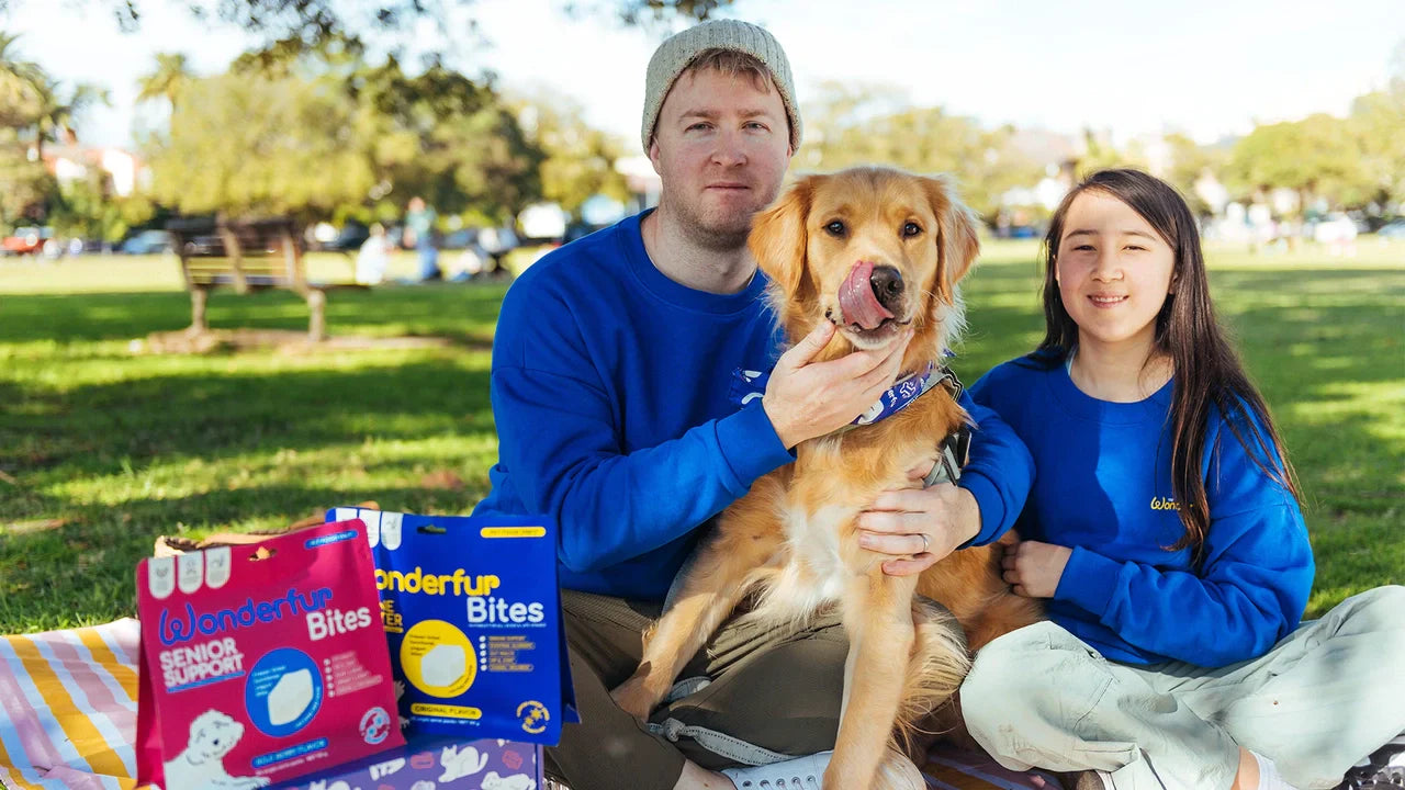 Gut-friendly, freeze-dried, and functional probiotic treats for pets