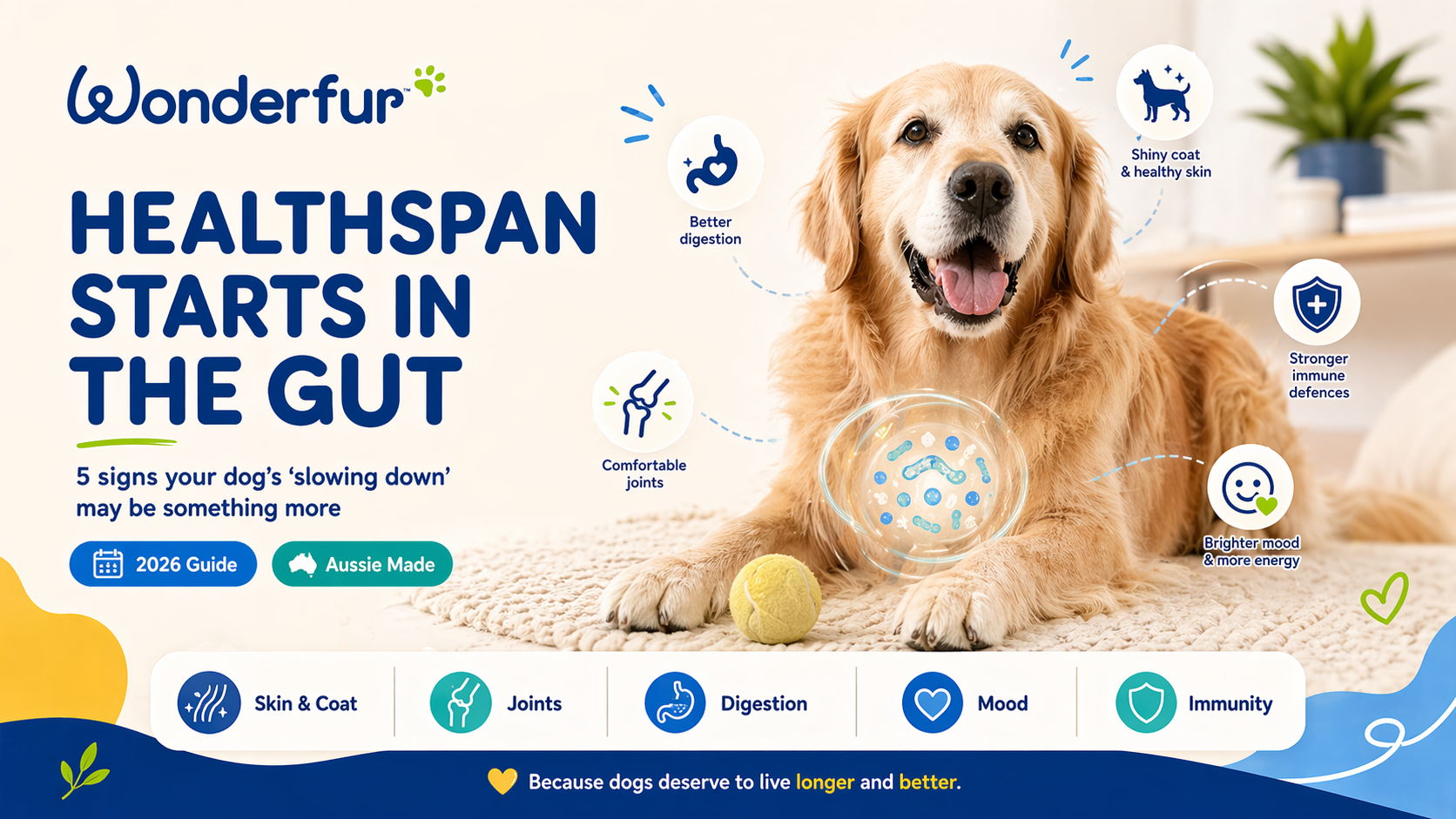 Australian-made-dog-supplement-wonderfur.