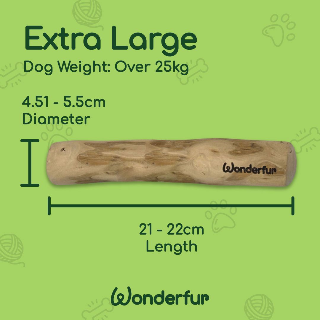 Wooden dog chew toy with measurements on a green background, featuring the brand 'Wonderfur'.