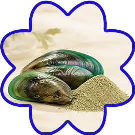 Green-Lipped Mussel Powder