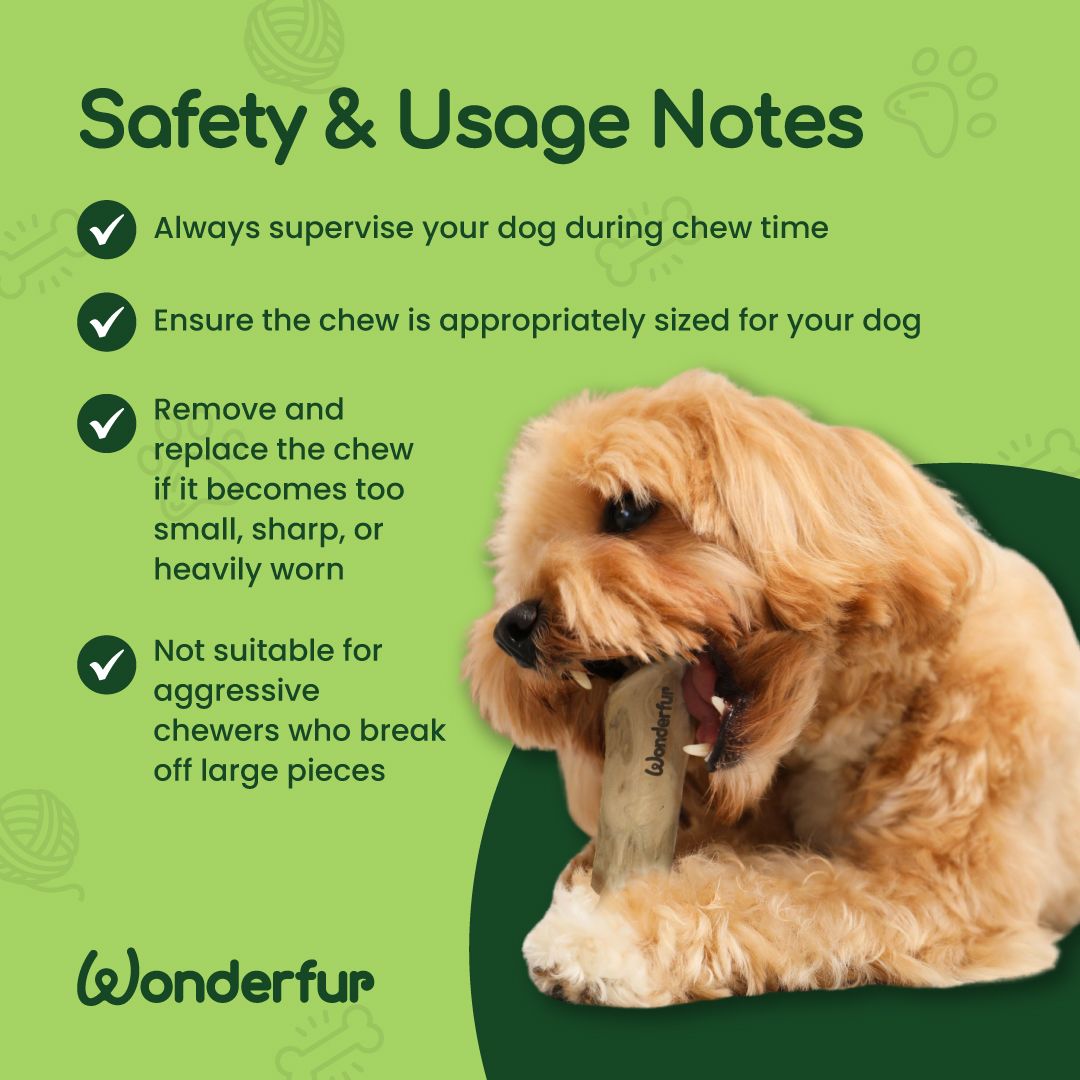 Dog chewing on a bone with safety and usage notes on a green background, featuring the Wonderfur brand.