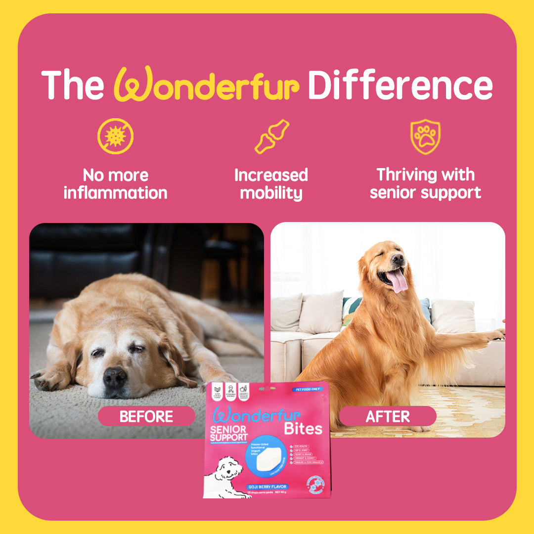 Before and after using Wonderfur Bites