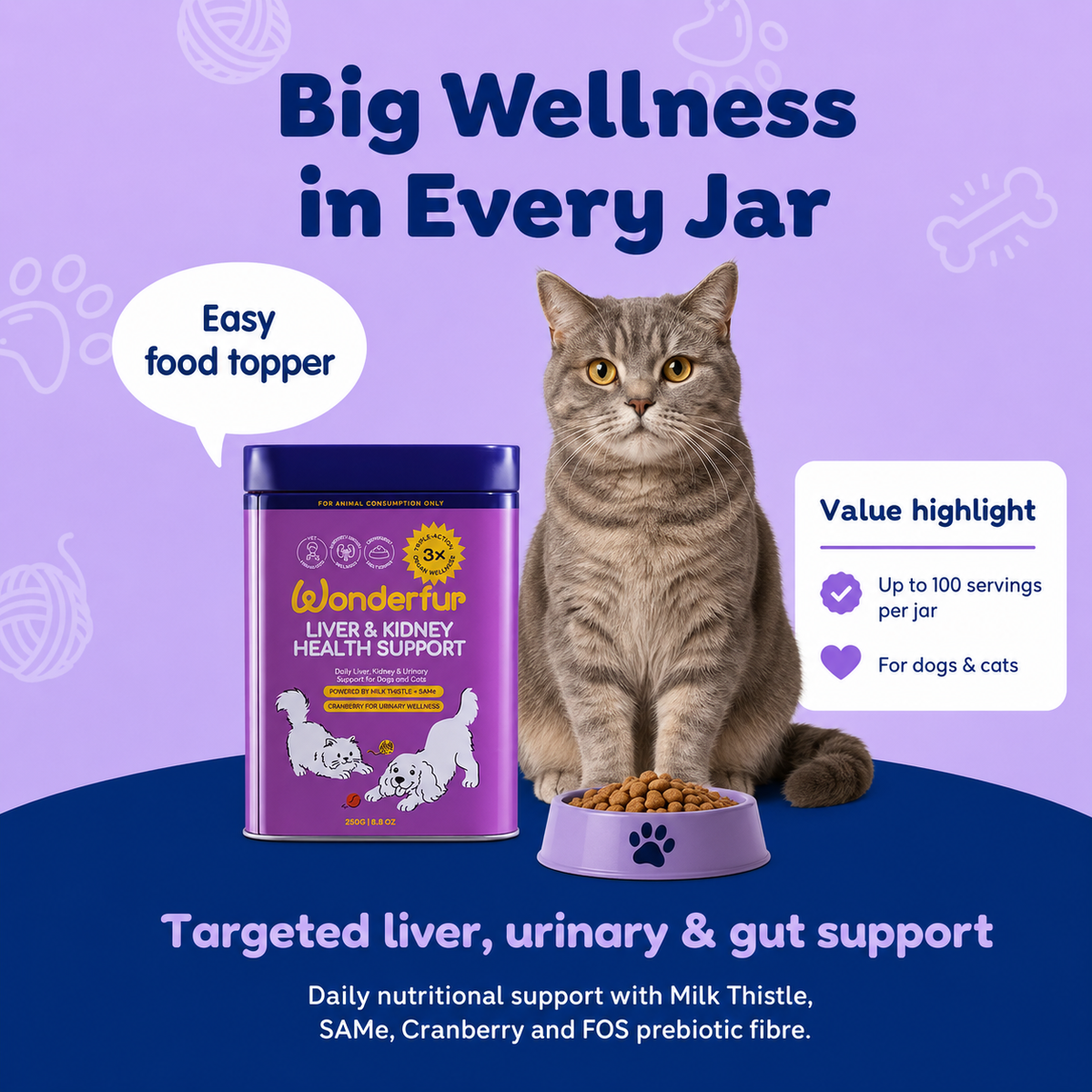 A cat sits beside a purple Wonder Fun pet supplement jar and a bowl of kibble on a purple and blue promotional graphic. Text reads 'Big Wellness in Every Jar' and highlights liver, kidney, urinary, and gut support.