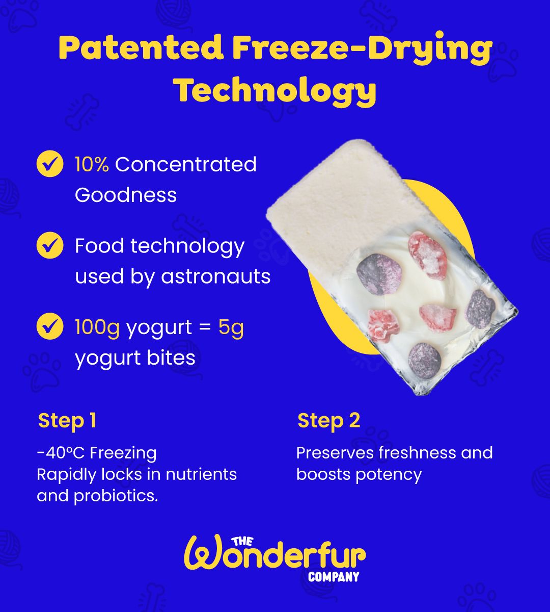 freeze-dried dog treats, freeze-dried kefir dog treats, freeze-dried yogurt dog treats, 