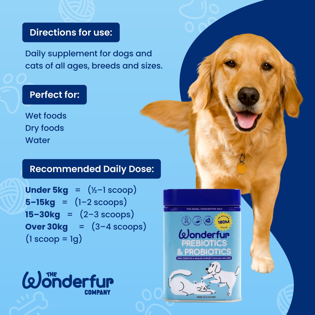 Pet probiotics and prebiotics supplement for sensitive tummies, digestive balance, and long-term health.