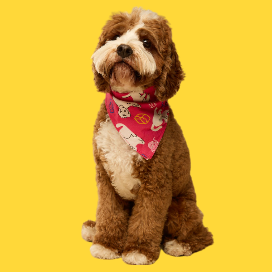Wonderfur pet bandana and wonderfur Dog bandana