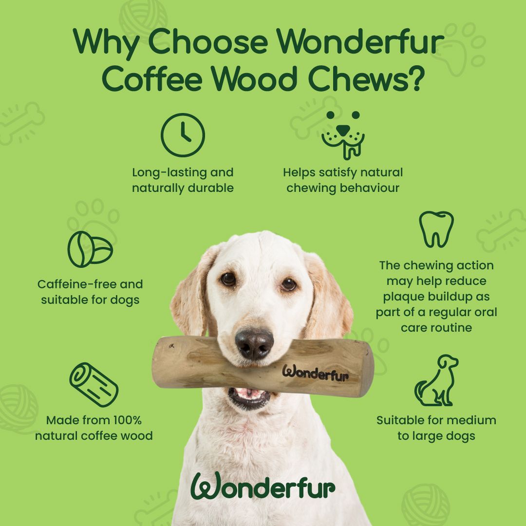 Promotional graphic for Wonderfur Coffee Wood Chews with a dog holding a chew toy against a green background.