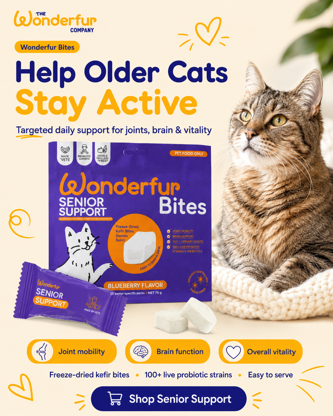 Cat sitting next to a package of Wonderfur Senior Support Bites with promotional text.
