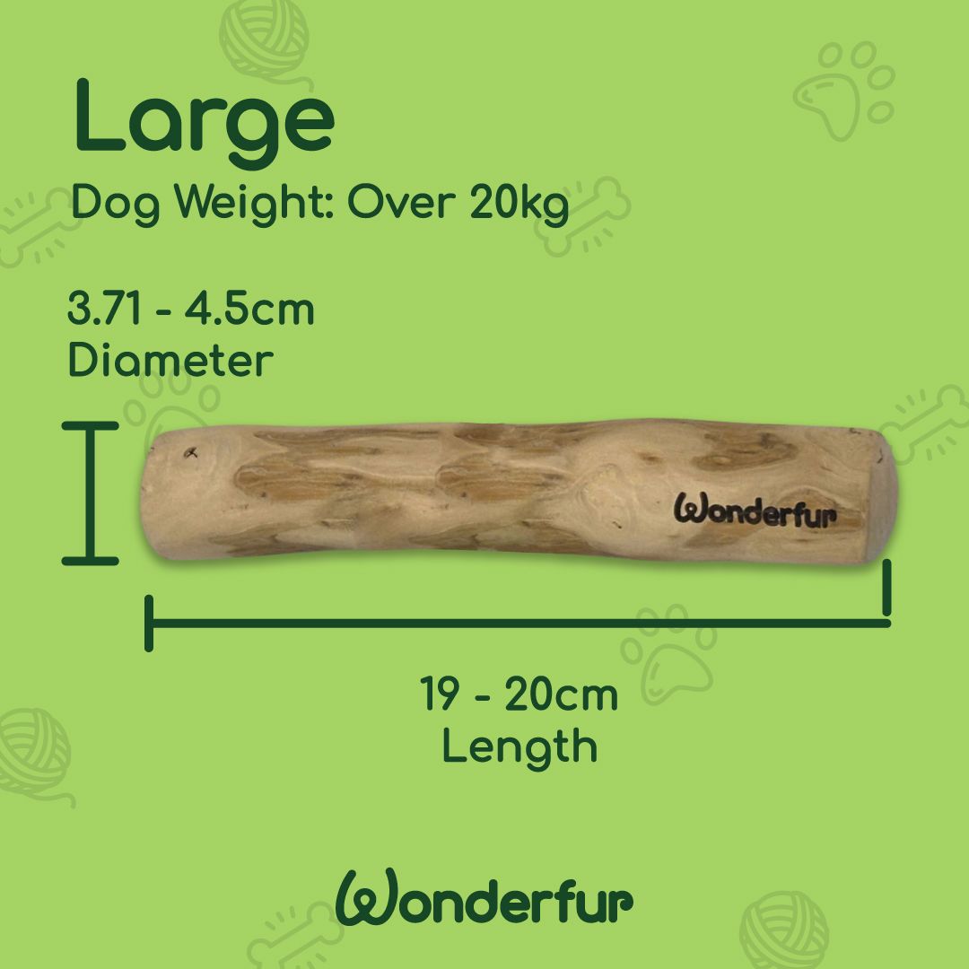 Wooden dog chew toy with measurements on a green background, featuring the brand 'Wonderfur'.