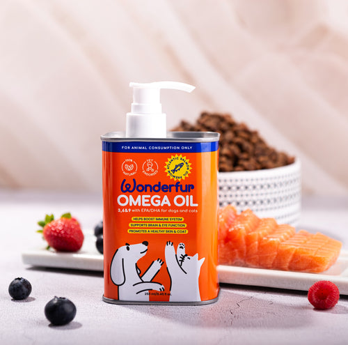 Salmon Fish Oil for Dogs and Cats