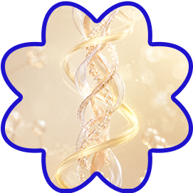 Collagen